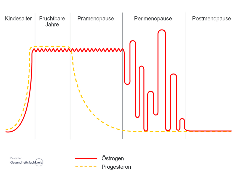 Menopause Infografik