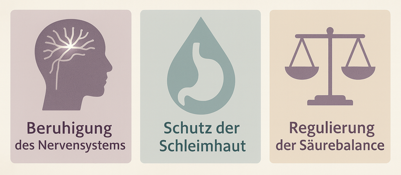 Reflux sodbrennen illustration