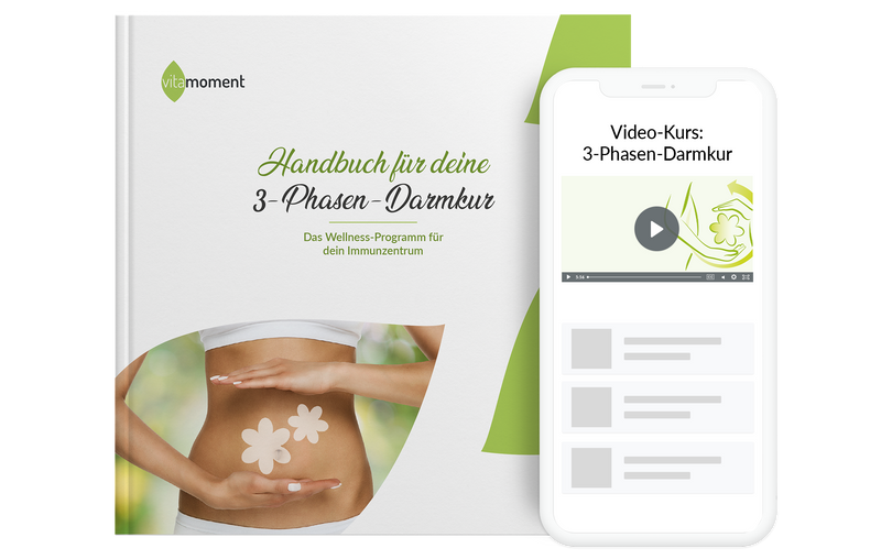VM_Darmkur_Mockup_Videokurs_Handbuch_Mobile